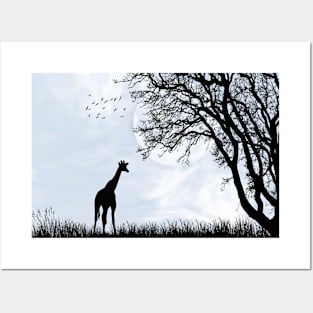 Nature animal giraffe Posters and Art